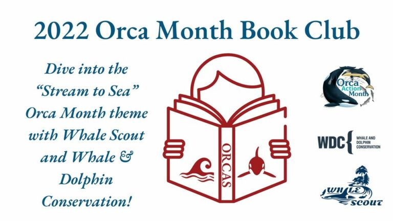 Orca Month Book Club, June 23rd - Whale Scout