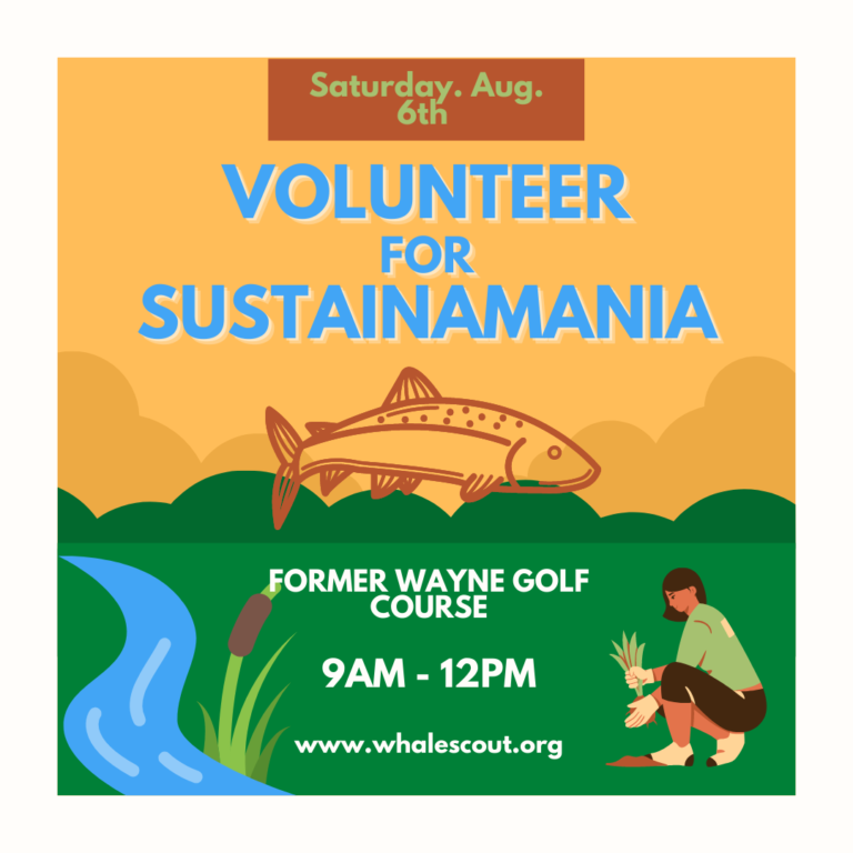 celebrate-sustainamania-restoring-the-former-wayne-golf-course-whale