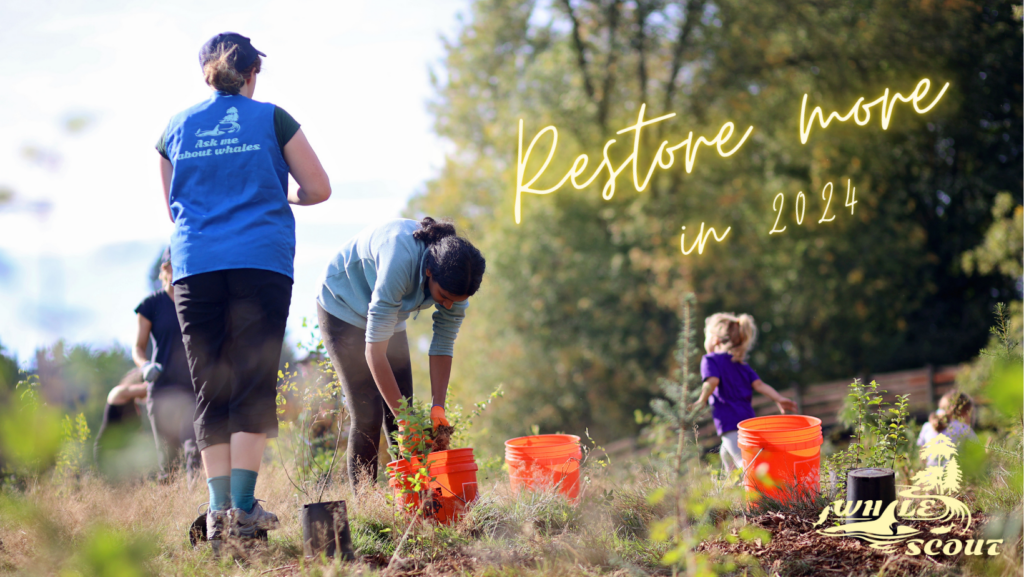 Restore More In 2024 Join Us In Planting Trees For Orcas Salmon   Restore More In 2024 1024x577 